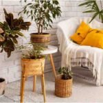 how-to-make-a-house-feel-like-a-home