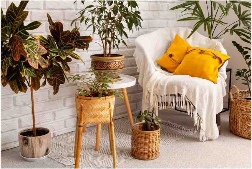 how-to-make-a-house-feel-like-a-home