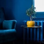 navy blue accent wall