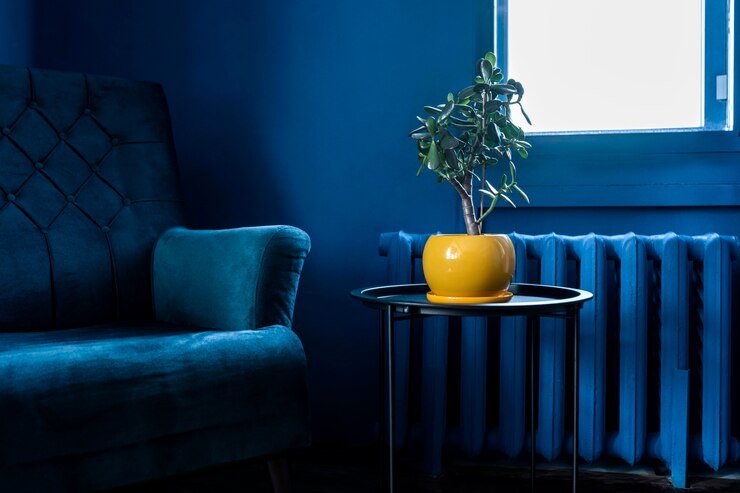 navy blue accent wall