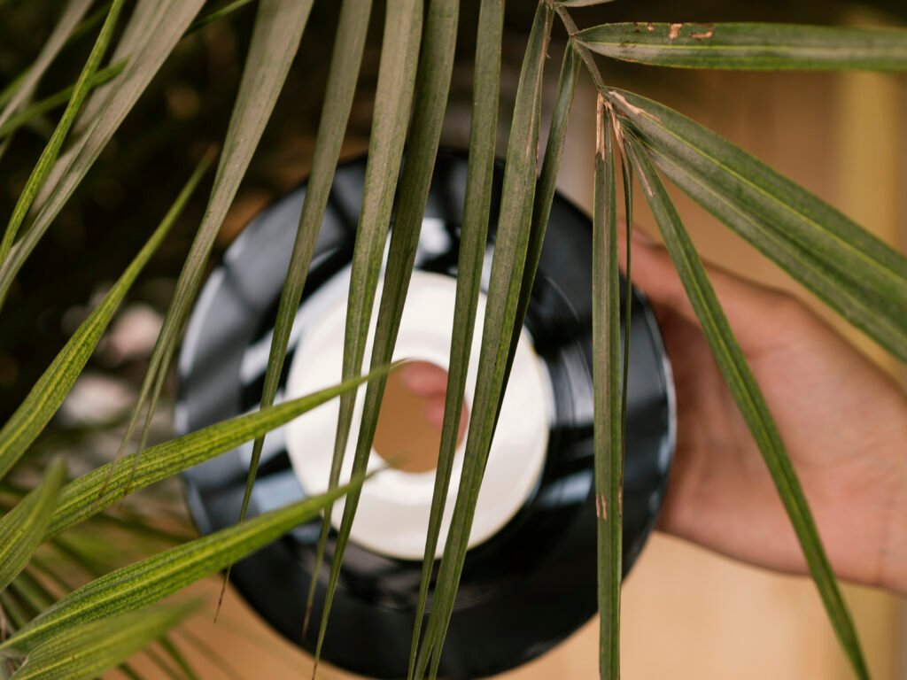 biophilic design